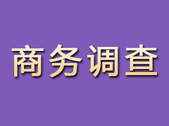 东安商务调查